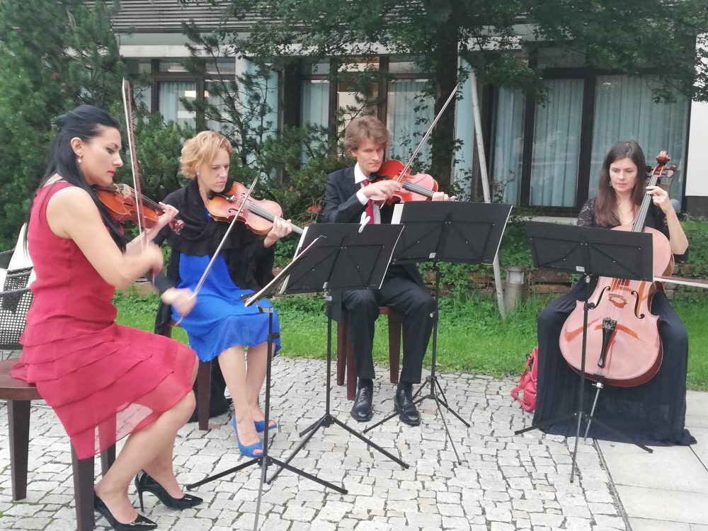 IMG_20180630_203140_resized_20180912_092353502